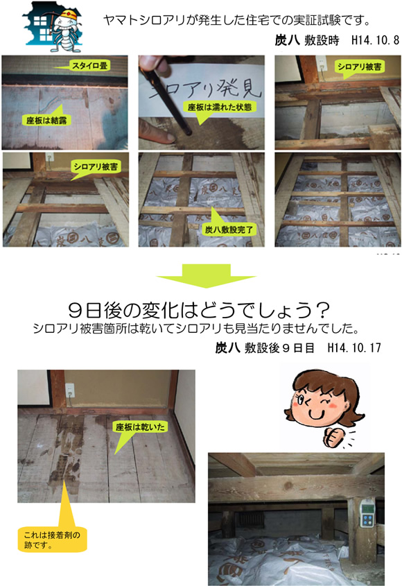 木材乾燥　N邸床下調査状況【ヤマトシロアリ撃退実証試験】