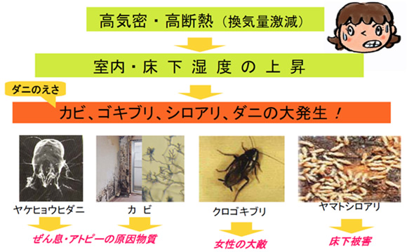 湿気の多い環境は、様々な害を及ぼします